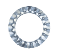SS DIN 6798 Washer