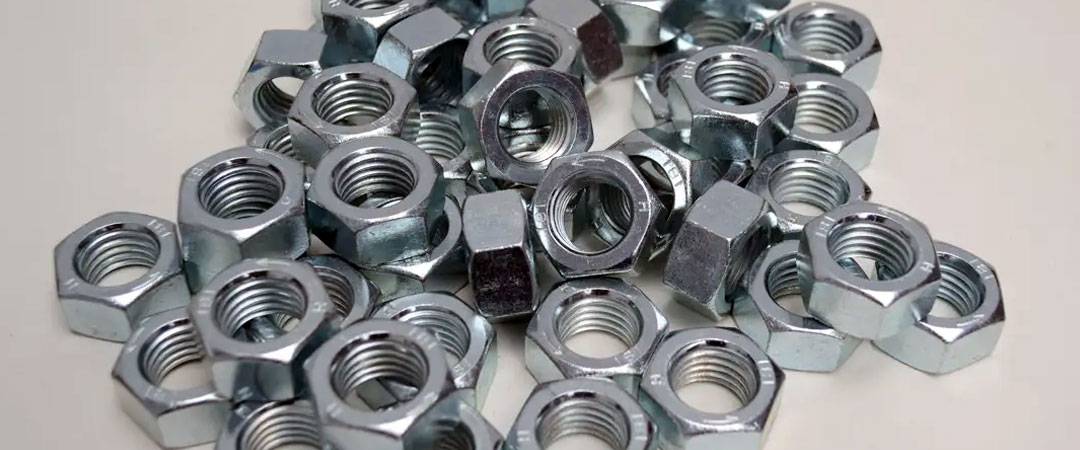Stainless Steel 310 Hex Nuts