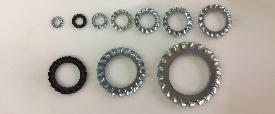 Stainless Steel DIN 6798 Washer